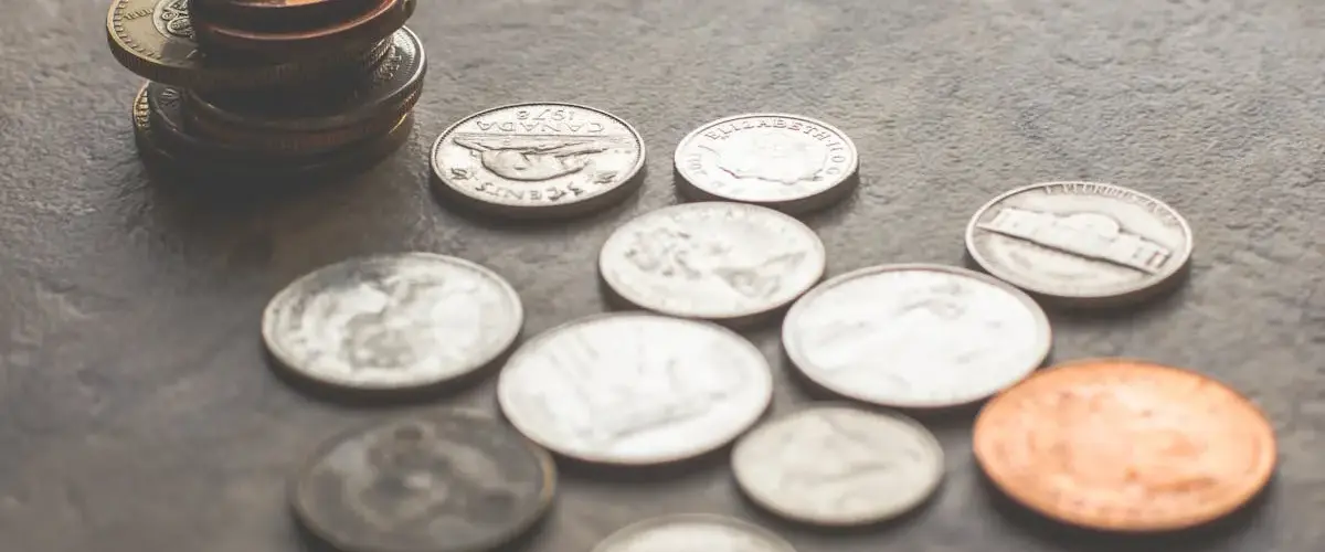 Si può vivere di numismatica